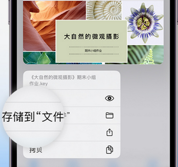 东坑镇apple维修中心分享iPhone文件应用中存储和找到下载文件 东坑镇apple维修中心分享iPhone文件应用中存储和找到下载文件