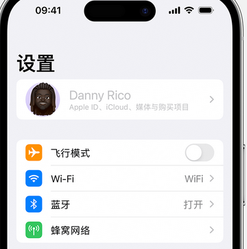 东坑镇appleID维修服务iPhone设置中Apple ID显示为灰色无法使用