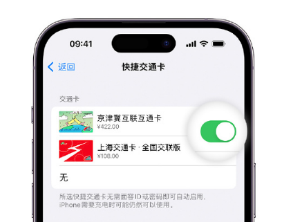 东坑镇apple维修点分享iPhone上更换Apple Pay快捷交通卡手绘卡面 