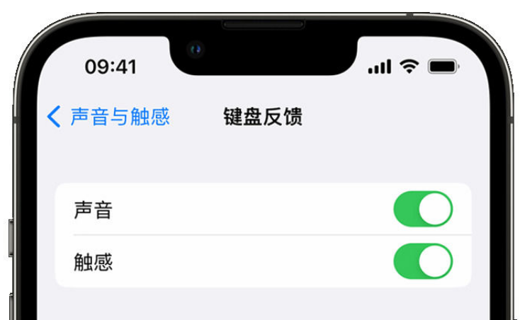 东坑镇苹果手机维修分享iPhone 14触感键盘使用方法 