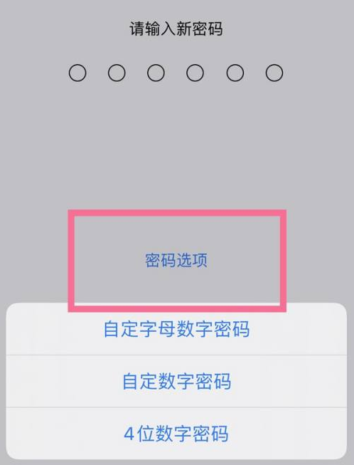 东坑镇苹果14维修分享iPhone 14plus设置密码的方法 