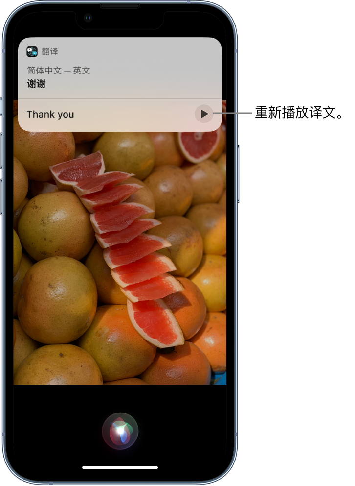 东坑镇苹果14维修分享 iPhone 14 机型中使用 Siri：了解 Siri 能帮你做什么 