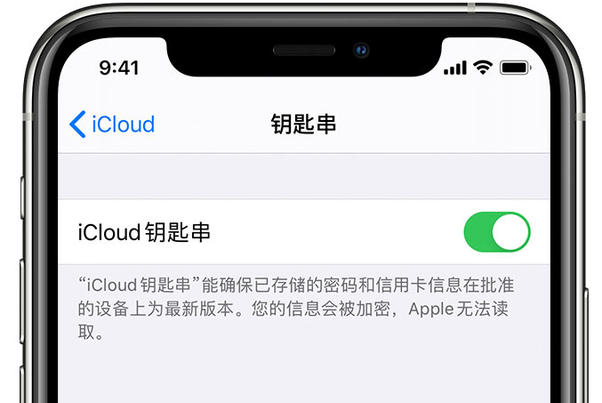 东坑镇苹果手机维修分享在 iPhone 上开启 iCloud 钥匙串之后会储存哪些信息 