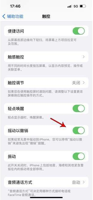 东坑镇苹果手机维修分享iPhone手机如何设置摇一摇删除文字 